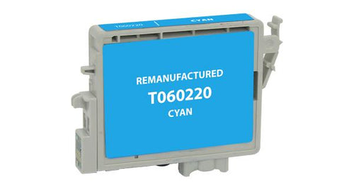 Cyan Ink Cartridge for Epson T060220